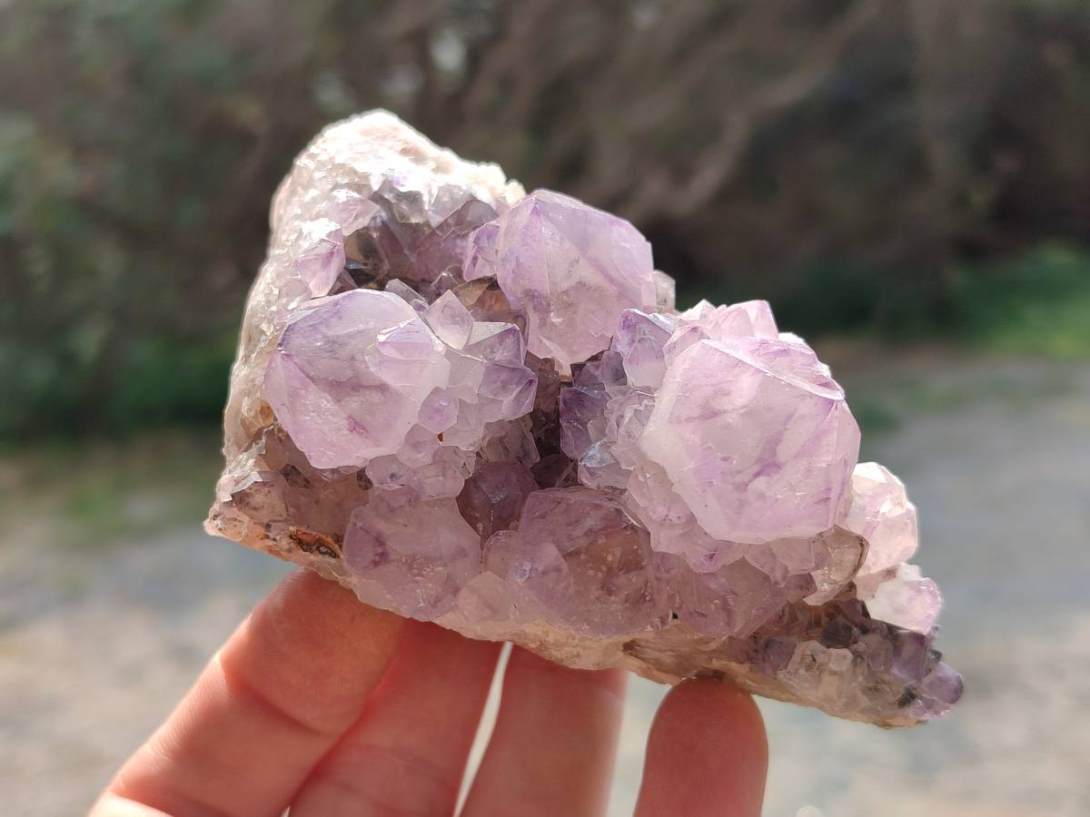 Natural Amethyst Spirit Quartz Clusters x 6 From South Africa - Toprock Gemstones and Minerals 