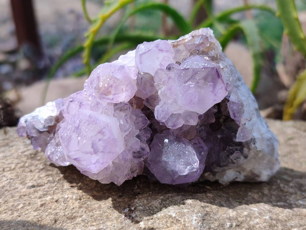 Natural Amethyst Spirit Quartz Clusters x 6 From South Africa - Toprock Gemstones and Minerals 