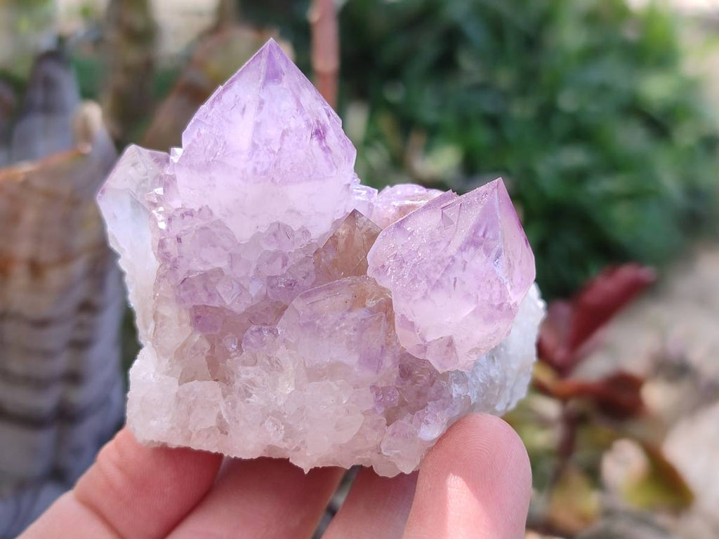 Natural Amethyst Spirit Quartz Clusters x 6 From South Africa - Toprock Gemstones and Minerals 