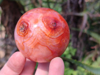 Polished Carnelian Agate Spheres x 4 From Madagascar