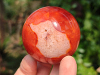 Polished Carnelian Agate Spheres x 4 From Madagascar