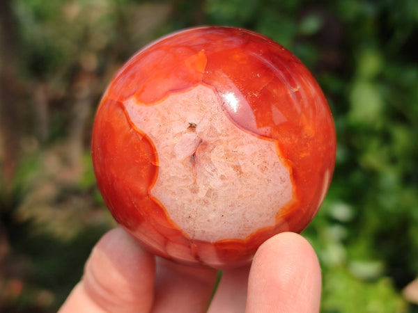 Polished Carnelian Agate Spheres x 4 From Madagascar - Toprock Gemstones and Minerals 