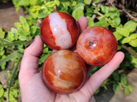 Polished Carnelian Agate Spheres x 4 From Madagascar