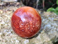 Polished Carnelian Agate Spheres x 4 From Madagascar