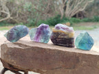 Natural Watermelon Fluorite Cobbed Specimens x 35 From Namibia - Toprock Gemstones and Minerals 