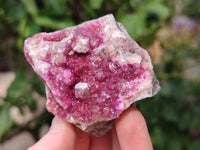 Natural Drusy Salrose on Dolomite Matrix Specimens x 6 From Kakanda, Congo - Toprock Gemstones and Minerals 