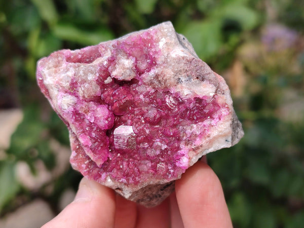 Natural Drusy Salrose on Dolomite Matrix Specimens x 6 From Kakanda, Congo