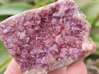 Natural Drusy Salrose on Dolomite Matrix Specimens x 6 From Kakanda, Congo - Toprock Gemstones and Minerals 