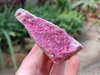 Natural Drusy Salrose on Dolomite Matrix Specimens x 6 From Kakanda, Congo - Toprock Gemstones and Minerals 