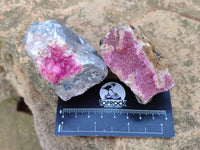 Natural Drusy Salrose on Dolomite Matrix Specimens x 6 From Kakanda, Congo - Toprock Gemstones and Minerals 