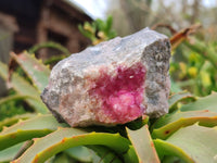 Natural Drusy Salrose on Dolomite Matrix Specimens x 6 From Kakanda, Congo - Toprock Gemstones and Minerals 