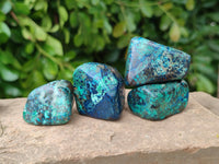 Polished Shattuckite Free Forms x 37 From Congo - Toprock Gemstones and Minerals 