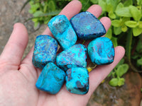 Polished Shattuckite Free Forms x 37 From Congo - Toprock Gemstones and Minerals 