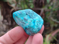 Polished Shattuckite Free Forms x 37 From Congo - Toprock Gemstones and Minerals 