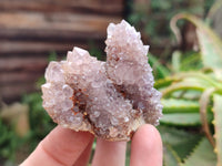 Natural Ametrine Spirit Quartz Clusters x 6 From South Africa - Toprock Gemstones and Minerals 