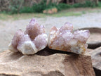Natural Ametrine Spirit Quartz Clusters x 6 From South Africa - Toprock Gemstones and Minerals 