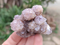 Natural Ametrine Spirit Quartz Clusters x 6 From South Africa - Toprock Gemstones and Minerals 