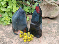 Polished Bloodstone Points x 2 From Swaziland