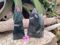 Polished Bloodstone Points x 2 From Swaziland