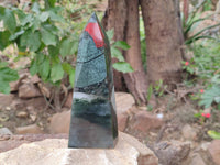 Polished Bloodstone Points x 2 From Swaziland