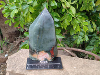Polished Bloodstone Points x 2 From Swaziland