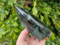 Polished Bloodstone Points x 2 From Swaziland