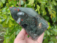 Polished Bloodstone Points x 2 From Swaziland