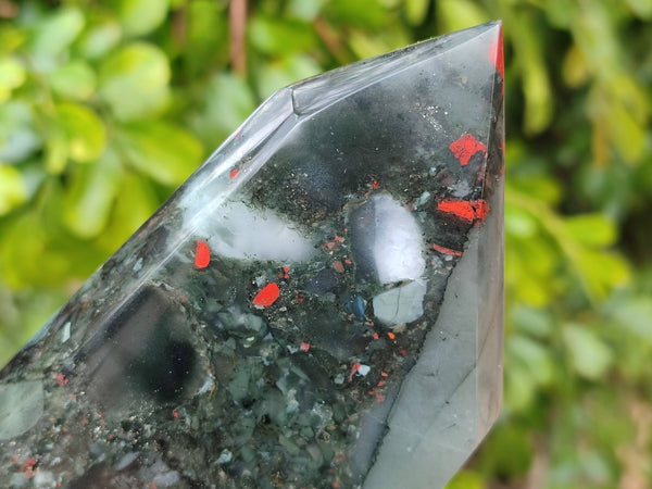 Polished Bloodstone Points x 2 From Swaziland