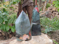 Polished Bloodstone Points x 2 From Swaziland