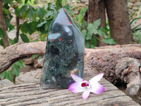 Polished Bloodstone Points x 2 From Swaziland