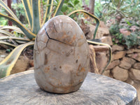 Polished Septerye Sauvage Dragons Egg x 1 From Madagascar