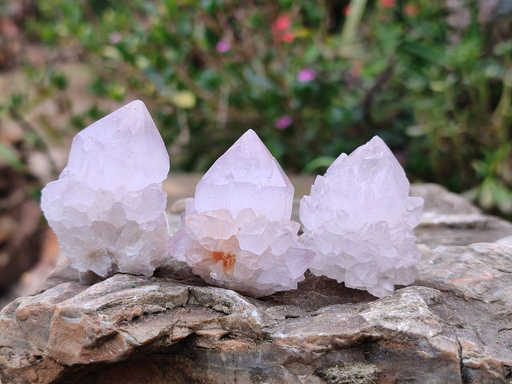 Natural Spirit Quartz Crystals x 20 From South Africa - Toprock Gemstones and Minerals 