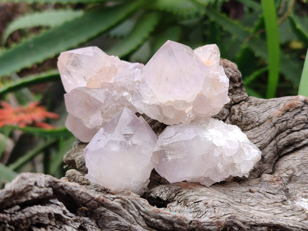Natural Spirit Quartz Crystals x 20 From South Africa - Toprock Gemstones and Minerals 