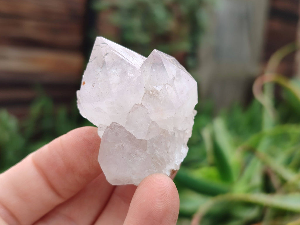 Natural Spirit Quartz Crystals x 20 From South Africa - Toprock Gemstones and Minerals 