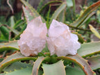 Natural Spirit Quartz Crystals x 20 From South Africa - Toprock Gemstones and Minerals 