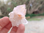 Natural Spirit Quartz Crystals x 20 From South Africa - Toprock Gemstones and Minerals 