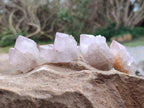 Natural Spirit Quartz Crystals x 20 From South Africa - Toprock Gemstones and Minerals 