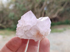 Natural Spirit Quartz Crystals x 20 From South Africa - Toprock Gemstones and Minerals 