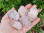 Natural Spirit Quartz Crystals x 20 From South Africa - Toprock Gemstones and Minerals 