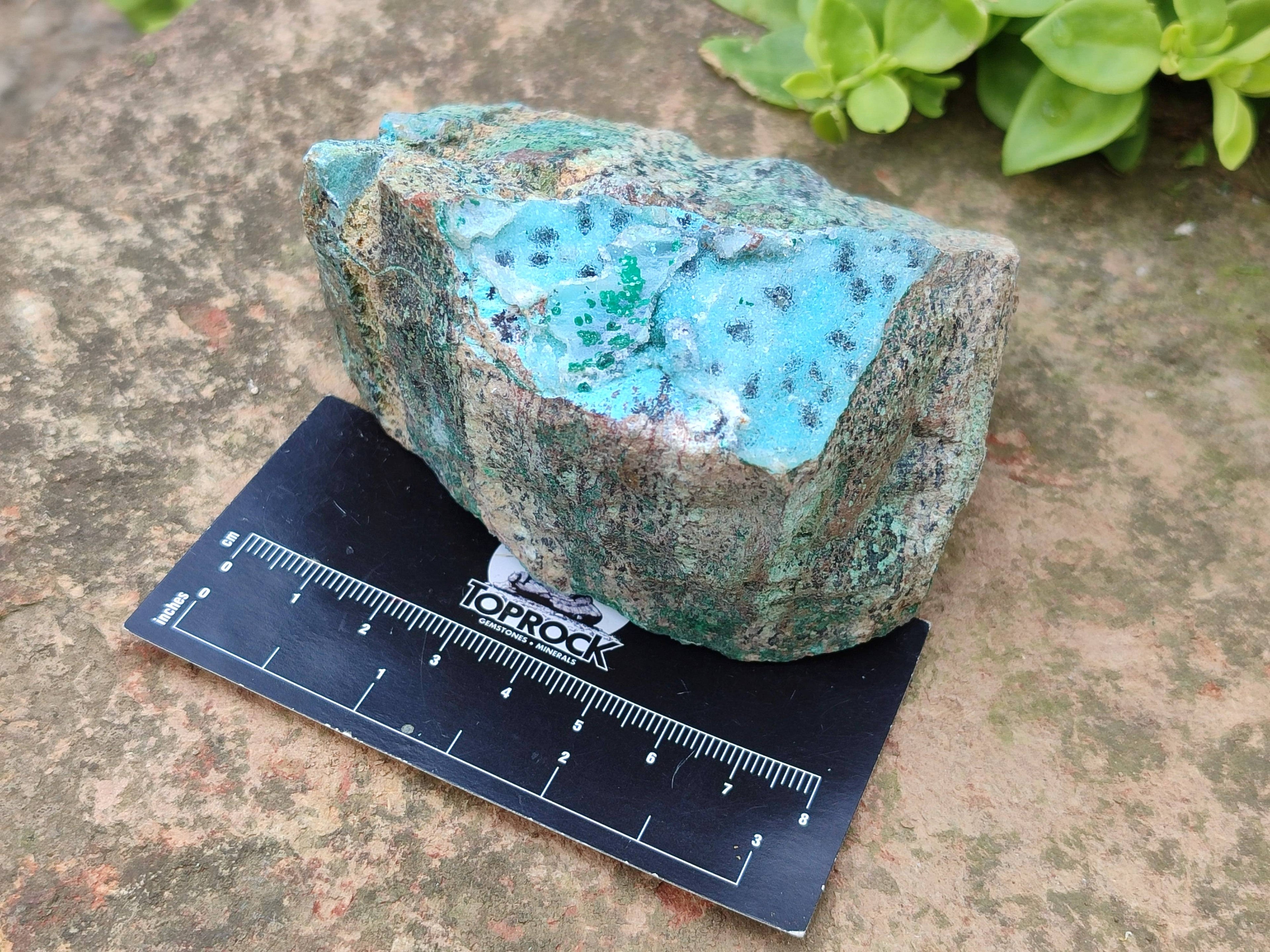 Natural Drusy Coated Chrysocolla Specimens x 4 From Lupoto Mine, Congo - Toprock Gemstones and Minerals 