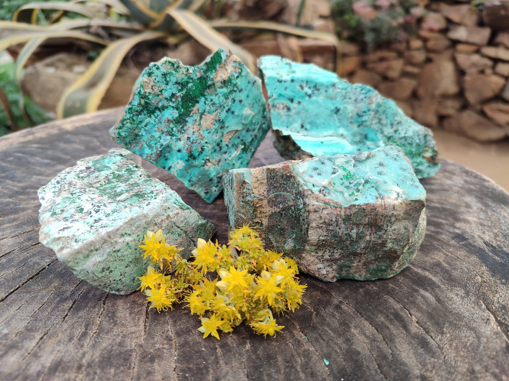 Natural Drusy Coated Chrysocolla Specimens x 4 From Lupoto Mine, Congo - Toprock Gemstones and Minerals 