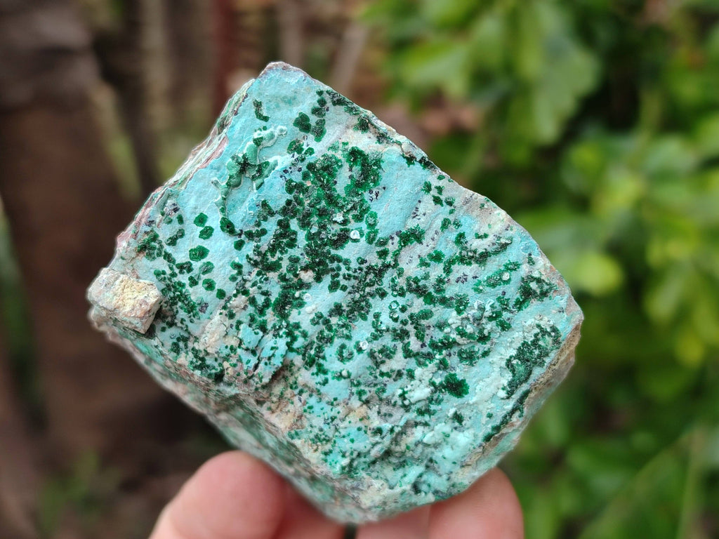 Natural Drusy Coated Chrysocolla Specimens x 4 From Lupoto Mine, Congo - Toprock Gemstones and Minerals 