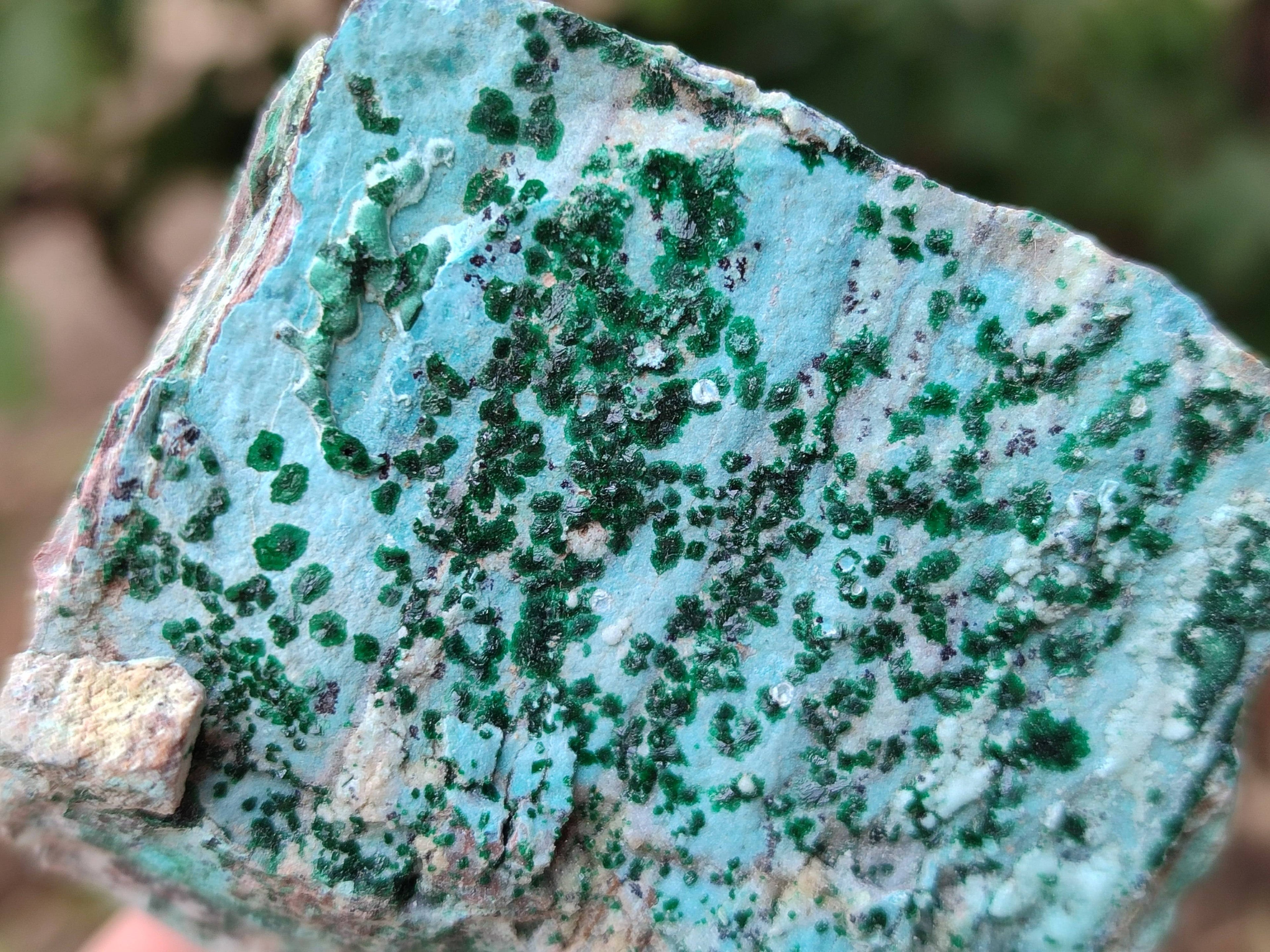Natural Drusy Coated Chrysocolla Specimens x 4 From Lupoto Mine, Congo - Toprock Gemstones and Minerals 