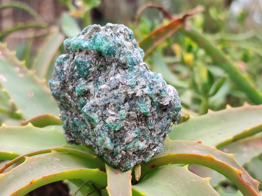 Natural Emerald Mica 'Mutokolite' Specimens x 12 From Mutoko, Zimbabwe - Toprock Gemstones and Minerals 