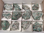 Natural Emerald Mica 'Mutokolite' Specimens x 12 From Mutoko, Zimbabwe - Toprock Gemstones and Minerals 