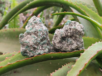 Natural Emerald Mica 'Mutokolite' Specimens x 12 From Mutoko, Zimbabwe - Toprock Gemstones and Minerals 
