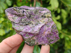 Natural Stichtite Specimens x 12 From Barberton, South Africa - Toprock Gemstones and Minerals 