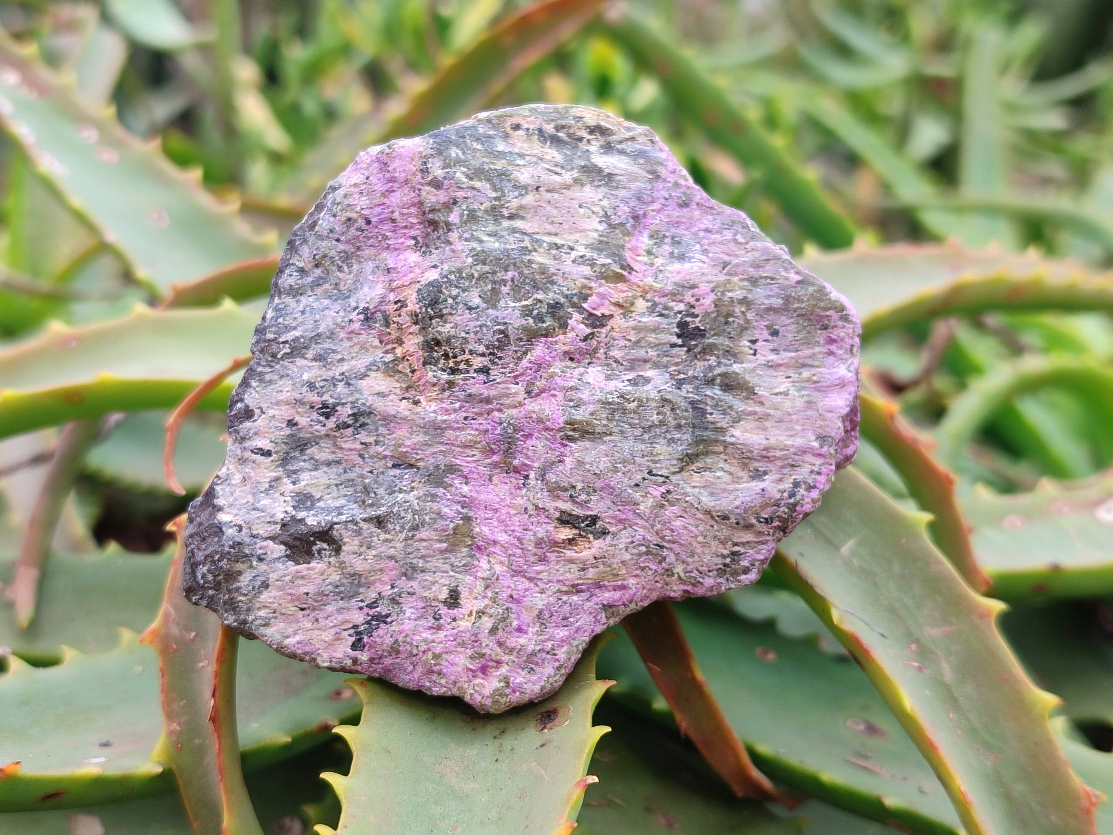 Natural Stichtite Specimens x 12 From Barberton, South Africa - Toprock Gemstones and Minerals 