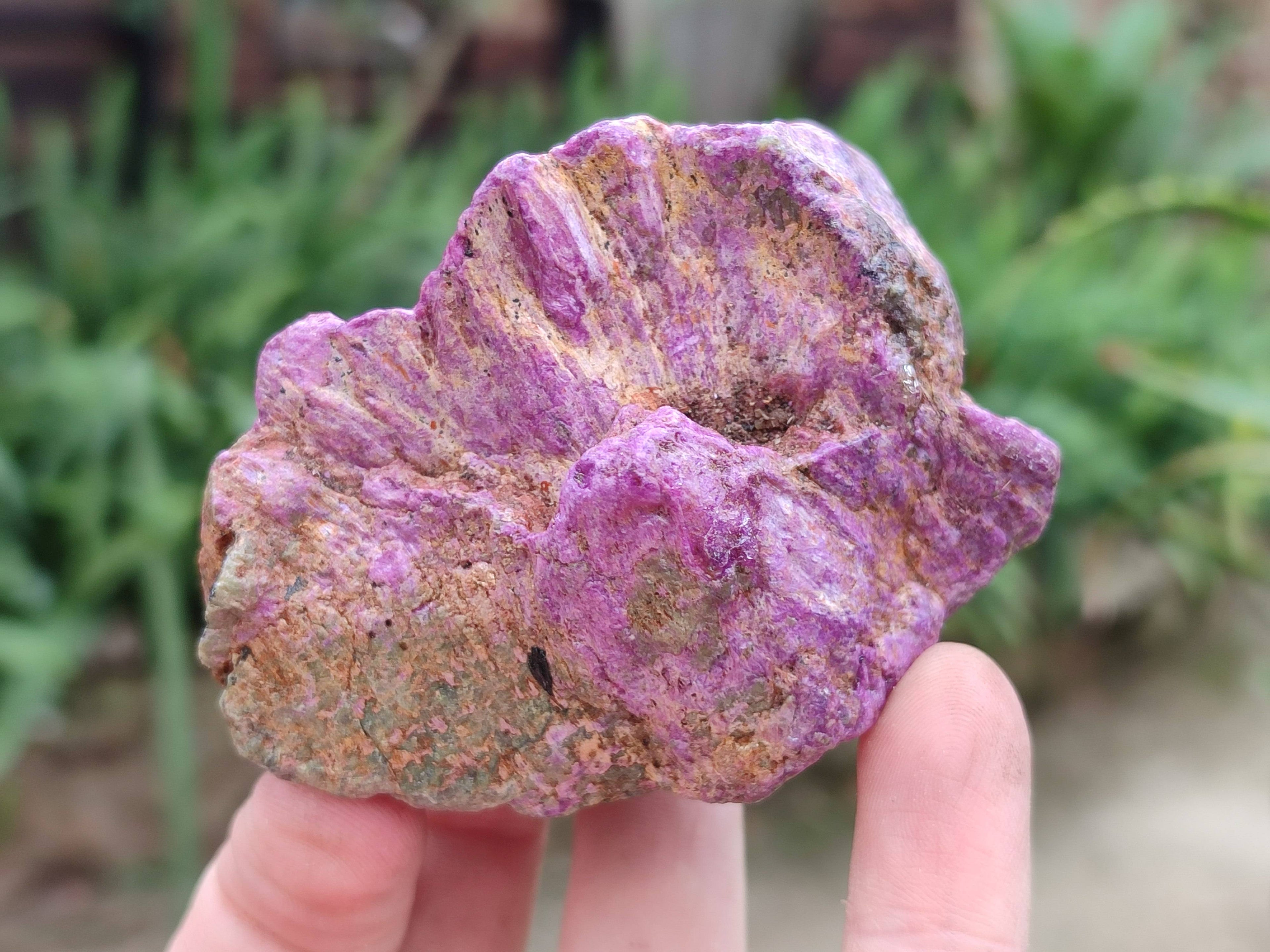 Natural Stichtite Specimens x 12 From Barberton, South Africa - Toprock Gemstones and Minerals 