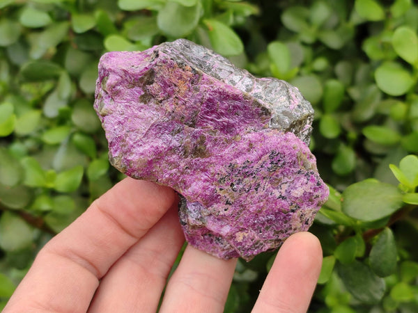 Natural Stichtite Specimens x 12 From Barberton, South Africa